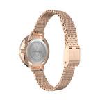 Rosalux Rose Bloom - Lilienthal Berlin