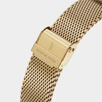 Mesh Strap – Gold Brushed